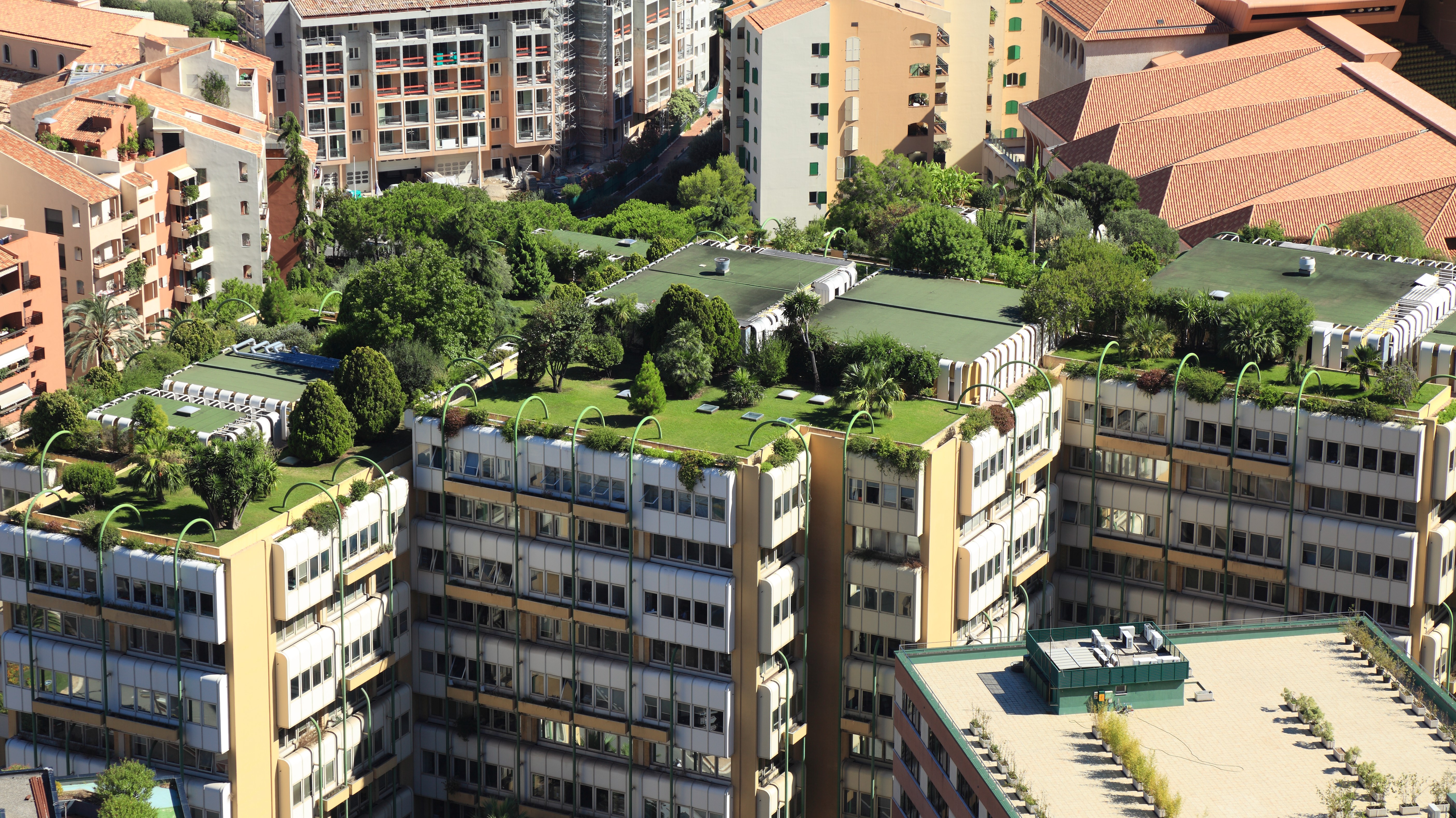 屋上緑化とは マンションの屋上や屋根に植物を育て 緑化すること 住まいのトラブル無料相談窓口 アリネット