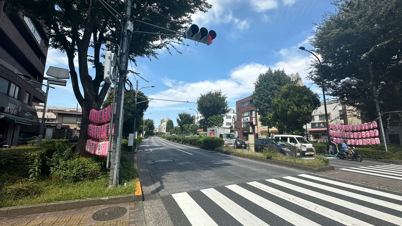 整備されている街路樹の植栽